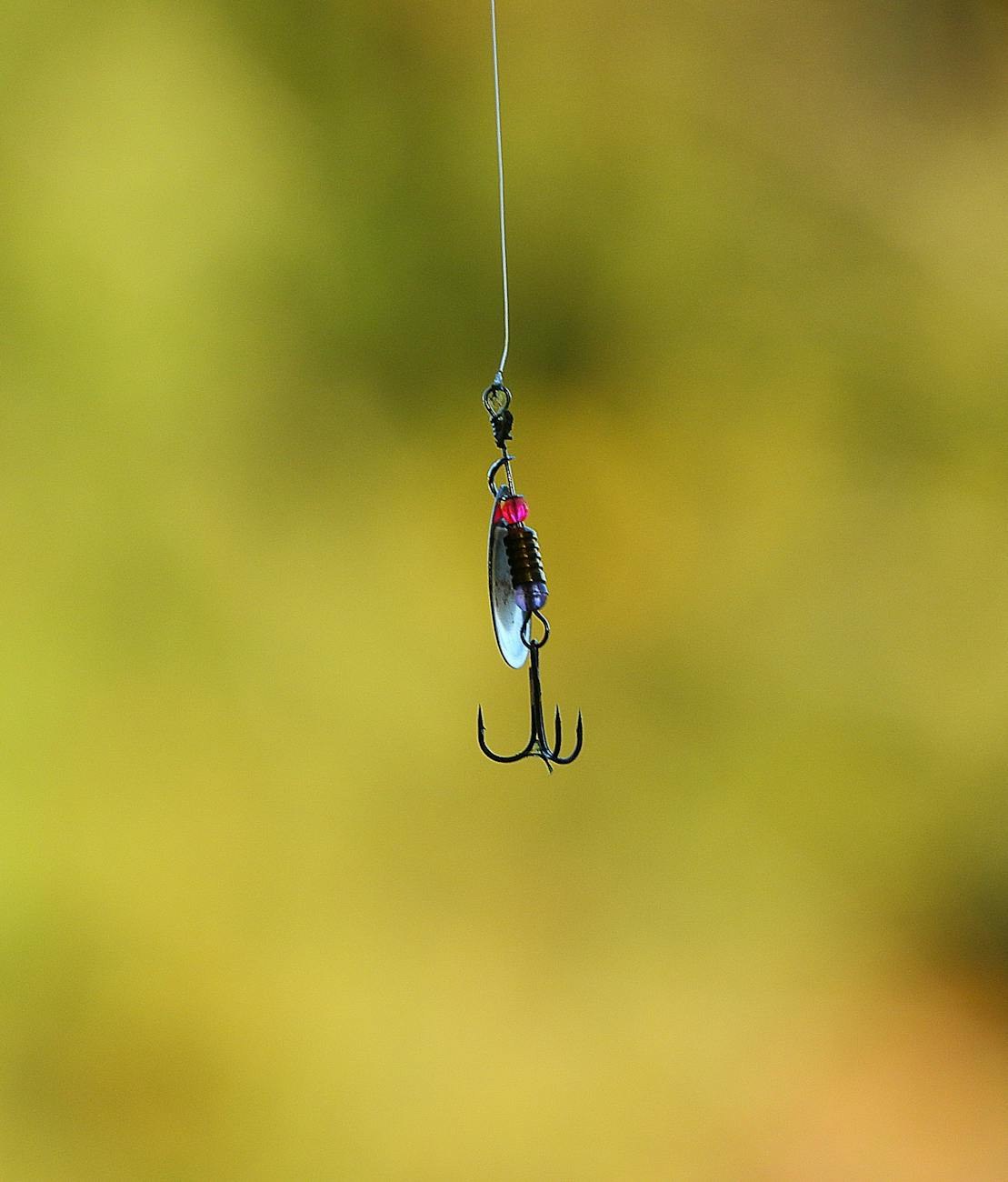 Angler mid-cast with predator fish in background